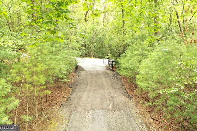 317 Running Deer Rd, Cleveland, GA 30528 - view of asphalt road featuring a wooded view