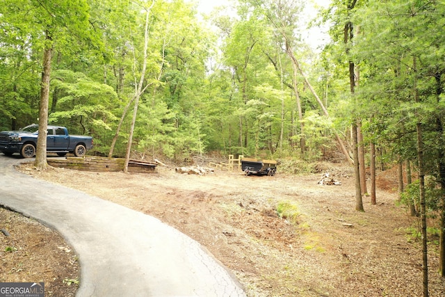 317 Running Deer Rd, Cleveland, GA 30528 - view of road featuring a forest view