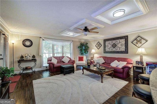 186 Wolverine Dr, Waleska, GA 30183 - living room featuring ornamental molding, a ceiling fan, wood finished floors, and a textured ceiling