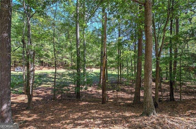 186 Wolverine Dr, Waleska, GA 30183 - view of wooded area