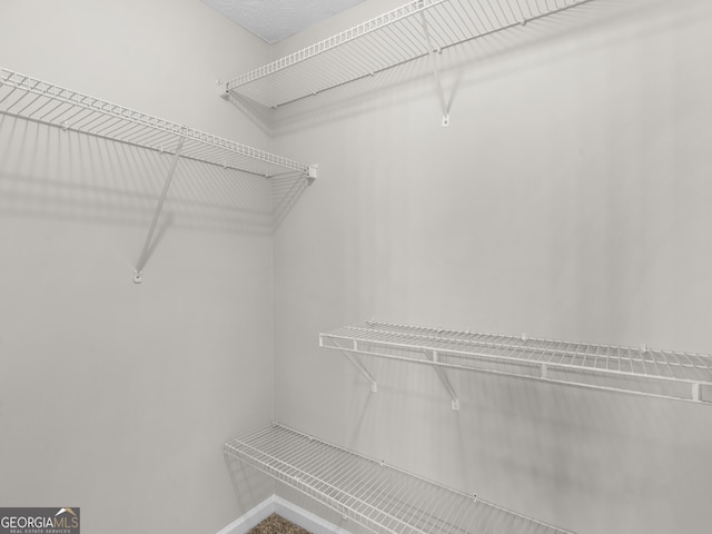 404 Northwind Pl, Stockbridge, GA 30281 - view of spacious closet