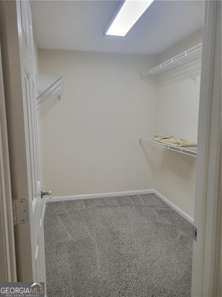 13565 Weycroft Cir, Alpharetta, GA 30004 - walk in closet with carpet flooring