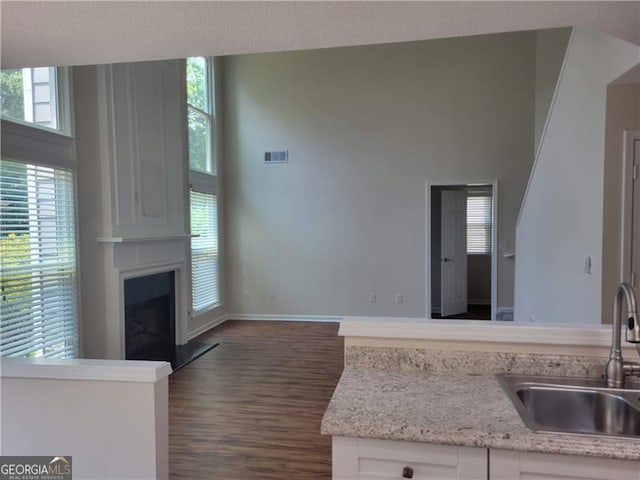 13565 Weycroft Cir, Alpharetta, GA 30004 - kitchen featuring dark wood-style flooring, white cabinets, and a large fireplace
