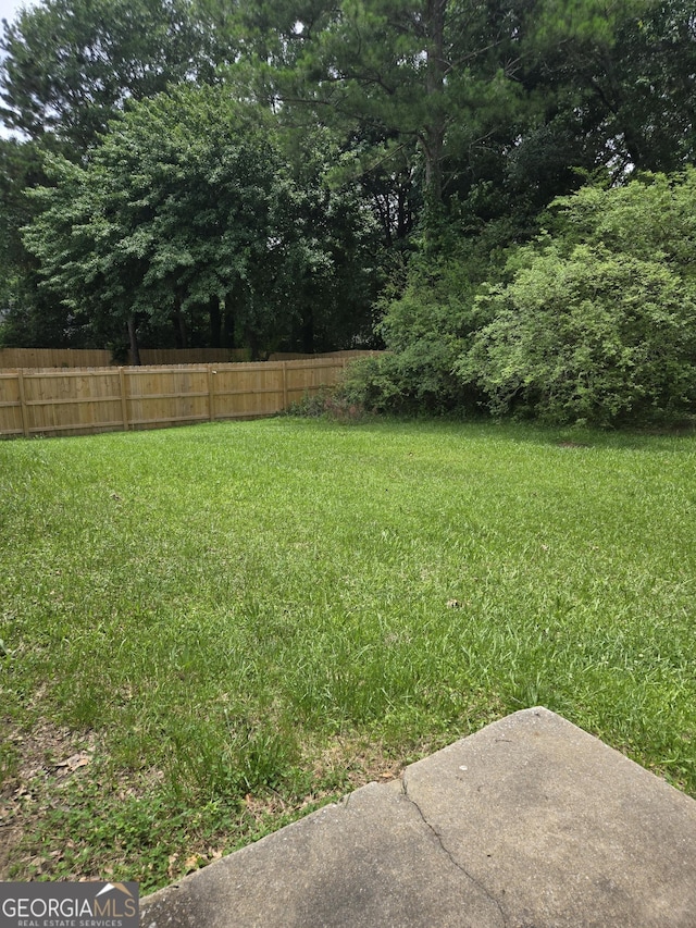 2985 Garnet Way S, Fulton, GA 30349 - view of yard