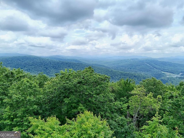 990 Hickory Nut Mountain Rd, Tallulah Falls, GA 30573 - mountain view with a heavily wooded area