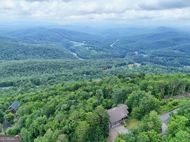 990 Hickory Nut Mountain Rd, Tallulah Falls, GA 30573 - aerial view of a forest and a mountain backdrop