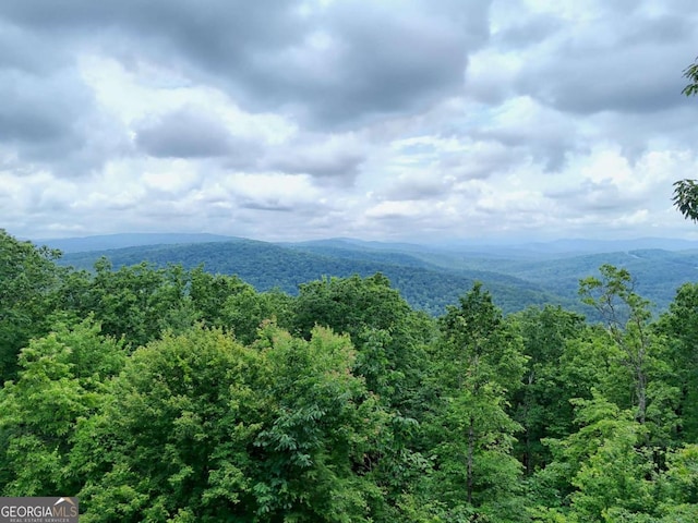 990 Hickory Nut Mountain Rd, Tallulah Falls, GA 30573 - view of mountain backdrop with a heavily wooded area