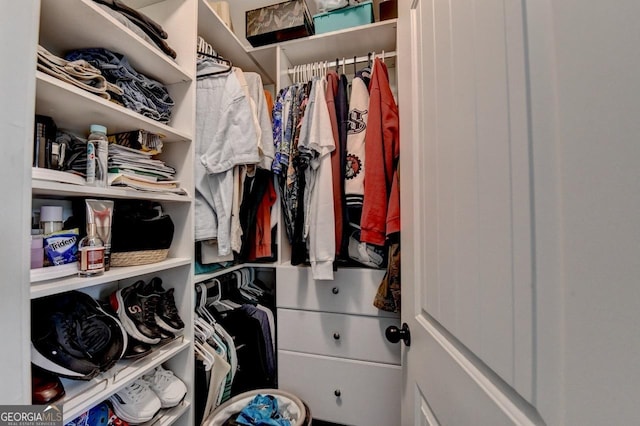 2410 Melton Common Dr, Dacula, GA 30019 - view of spacious closet