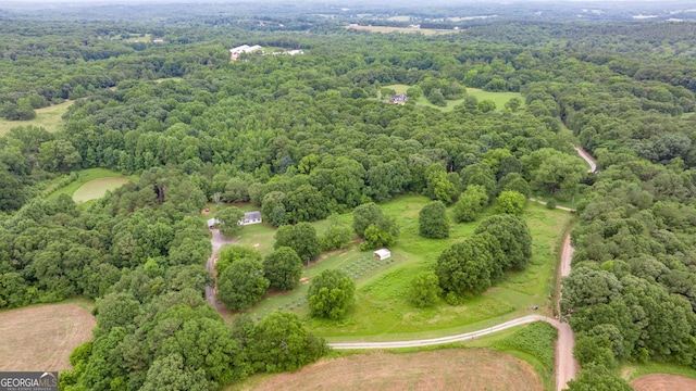 319 Aderhold Rd, Carnesville, GA 30521 - aerial view of a forest