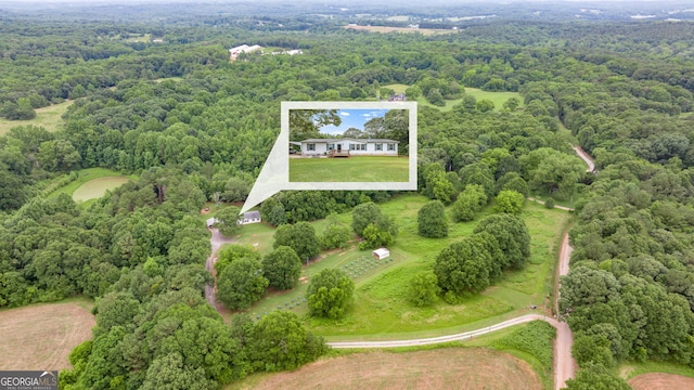 319 Aderhold Rd, Carnesville, GA 30521 - aerial overview of property's location featuring a heavily wooded area and property boundaries highlighted