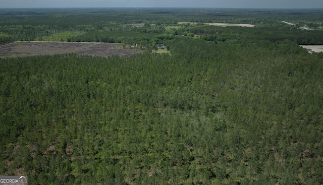 64.65AC Bay Branch Church Rd, Claxton, GA 30417