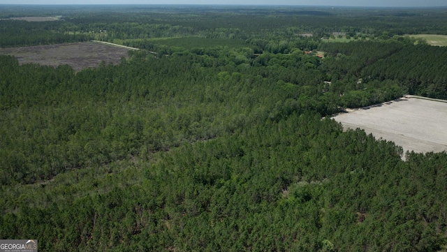 64.65AC Bay Branch Church Rd, Claxton, GA 30417