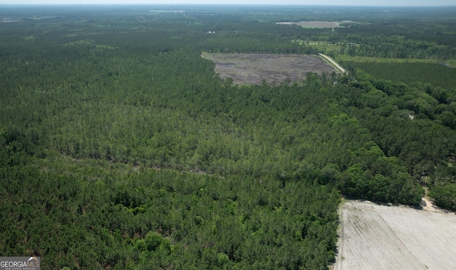 64.65AC Bay Branch Church Rd, Claxton, GA 30417