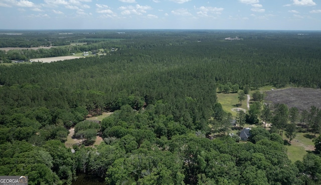 64.65AC Bay Branch Church Rd, Claxton, GA 30417