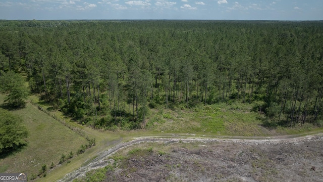 64.65AC Bay Branch Church Rd, Claxton, GA 30417