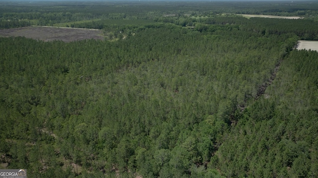 64.65AC Bay Branch Church Rd, Claxton, GA 30417