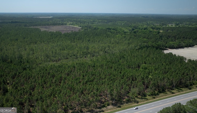 64.65AC Bay Branch Church Rd, Claxton, GA 30417