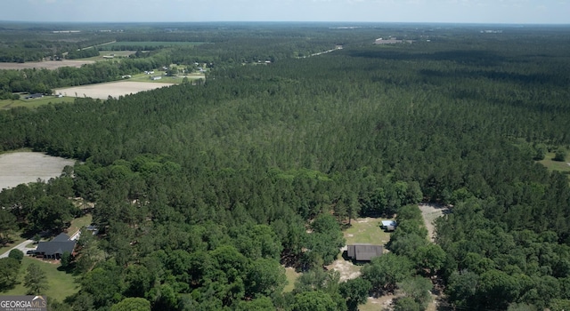 64.65AC Bay Branch Church Rd, Claxton, GA 30417