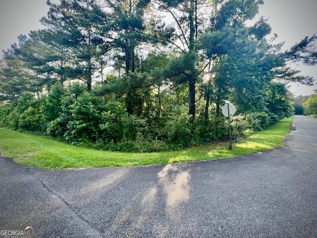 0 Cameron Ct, Dublin, GA 31021
