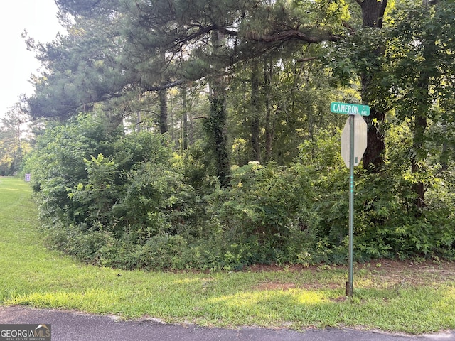 0 Cameron Ct, Dublin, GA 31021
