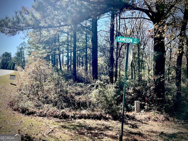0 Cameron Ct, Dublin, GA 31021