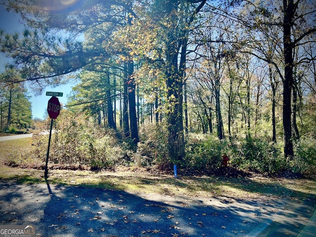 0 Cameron Ct, Dublin, GA 31021