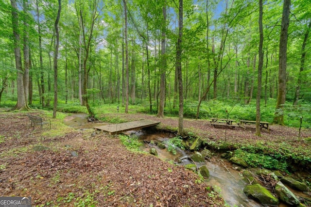 64 Bear Belly Path, Ellijay, GA 30540 - view of yard featuring a view of trees