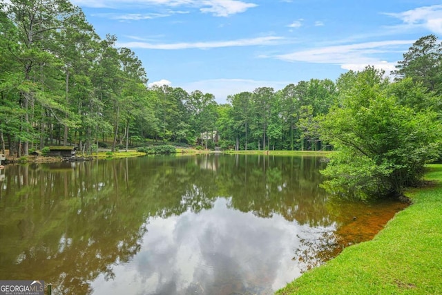 4211 Burnt Hickory Rd NW, Marietta, GA 30064 - water view with a heavily wooded area