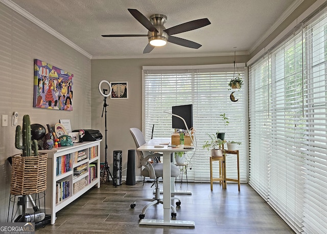 1202 Countryside Pl SE, Smyrna, GA 30080 - home office with a ceiling fan, wood finished floors, ornamental molding, and a textured ceiling