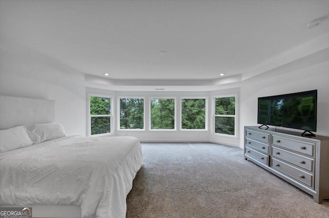 612 Michigan Cir, Hoschton, GA 30548 - bedroom featuring carpet floors, a raised ceiling, and recessed lighting