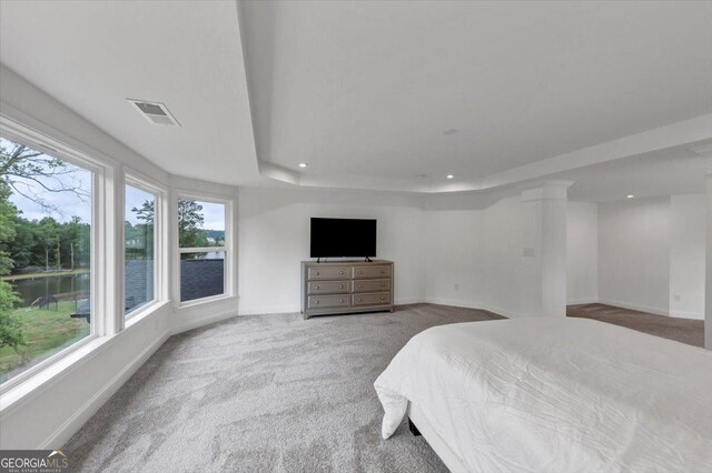 612 Michigan Cir, Hoschton, GA 30548 - bedroom featuring carpet floors, recessed lighting, a raised ceiling, and a water view