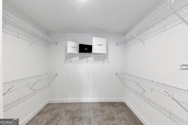 612 Michigan Cir, Hoschton, GA 30548 - walk in closet with carpet flooring