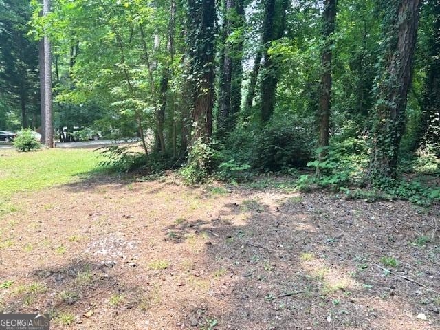 7813 Sugarland Dr, Jonesboro, GA 30236 - view of woods