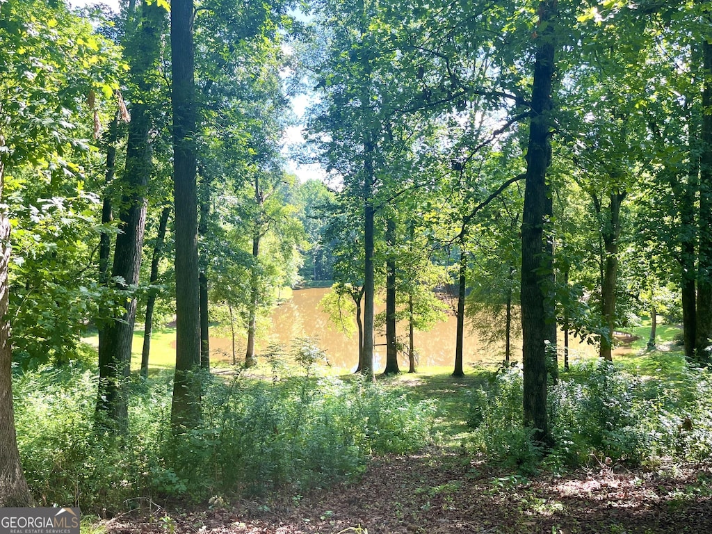 1794 Dames Ferry Rd, Forsyth, GA 31029 - view of undeveloped land