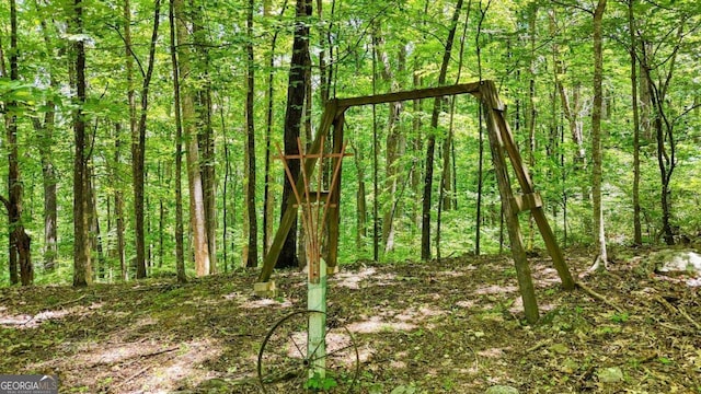 1203 Spring Cove Rd, Blairsville, GA 30512 - view of tree filled area