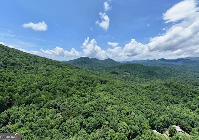 1203 Spring Cove Rd, Blairsville, GA 30512 - mountain view featuring a heavily wooded area