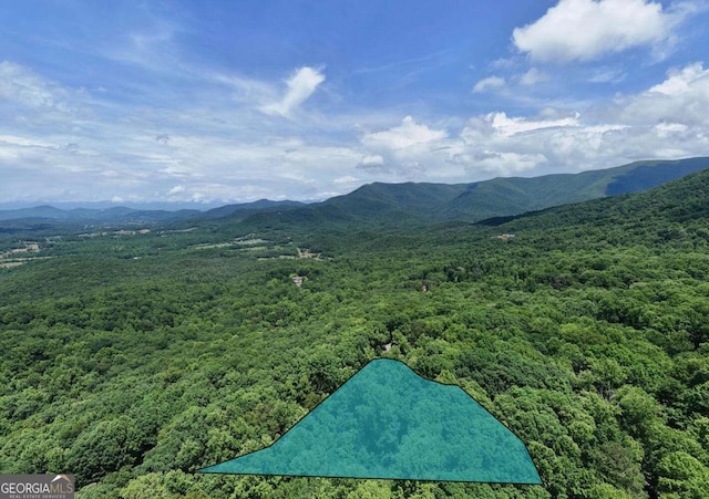 1203 Spring Cove Rd, Blairsville, GA 30512 - bird's eye view of a mountain backdrop