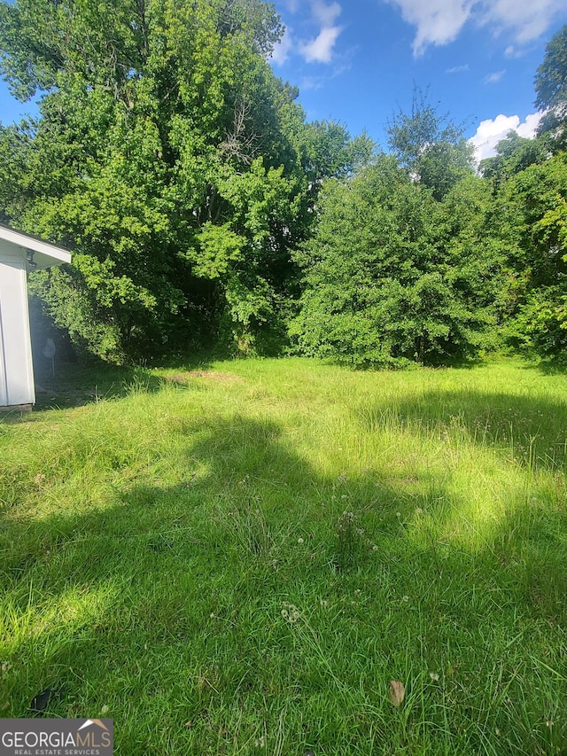 4274 W Oak Dr, Macon, GA 31210 - view of yard