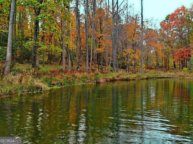 LOT157 N Laceola Rd Unit 157, Cleveland, GA 30528