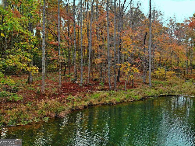 LOT157 N Laceola Rd Unit 157, Cleveland, GA 30528
