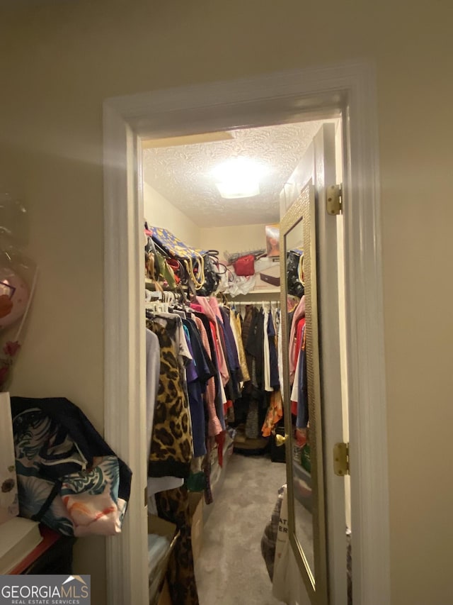 110 Waverly Way, Lagrange, GA 30240 - walk in closet with carpet flooring