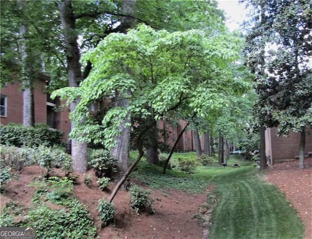 1131 Clairemont Ave Unit B, Decatur, GA 30030 - view of yard