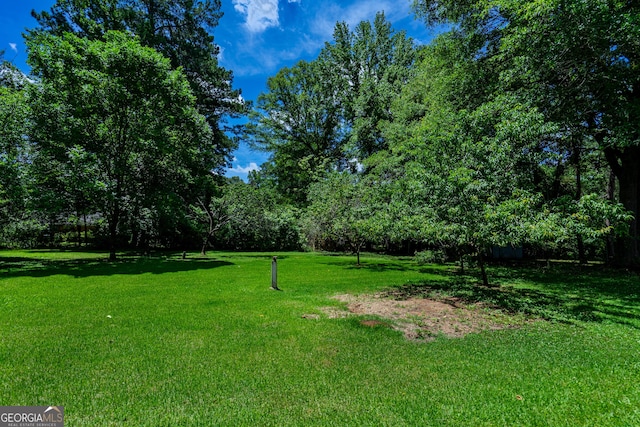 116 Preston Pl, Lagrange, GA 30241 - view of green lawn