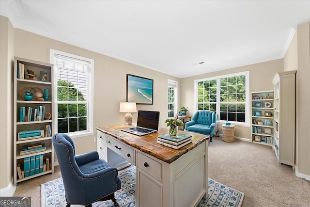 3559 Reservoir Pass, Acworth, GA 30101 - office with crown molding and light colored carpet