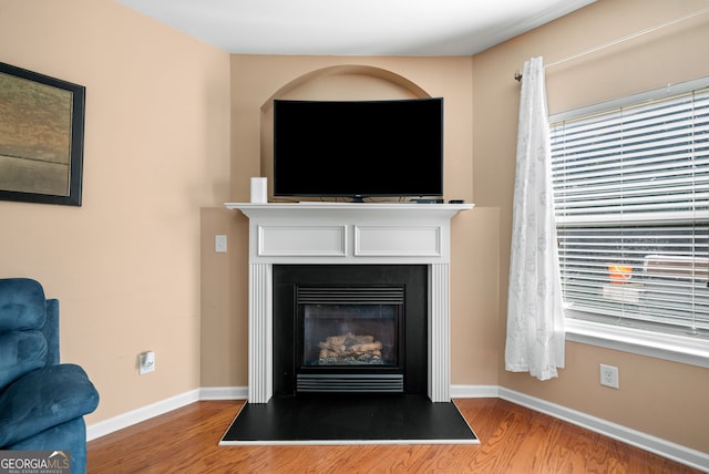 305 Hidden Creek Ln, Canton, GA 30114 - detailed view of wood finished floors and a glass covered fireplace