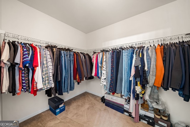 305 Hidden Creek Ln, Canton, GA 30114 - spacious closet featuring carpet flooring