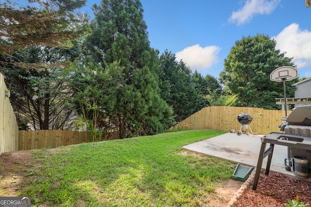 305 Hidden Creek Ln, Canton, GA 30114 - fenced backyard with a patio