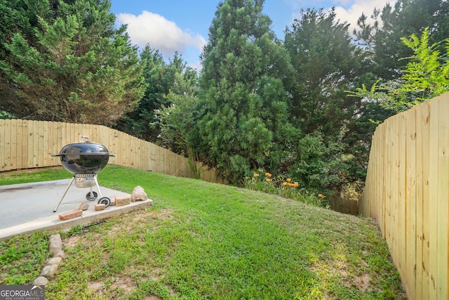305 Hidden Creek Ln, Canton, GA 30114 - fenced backyard with a patio