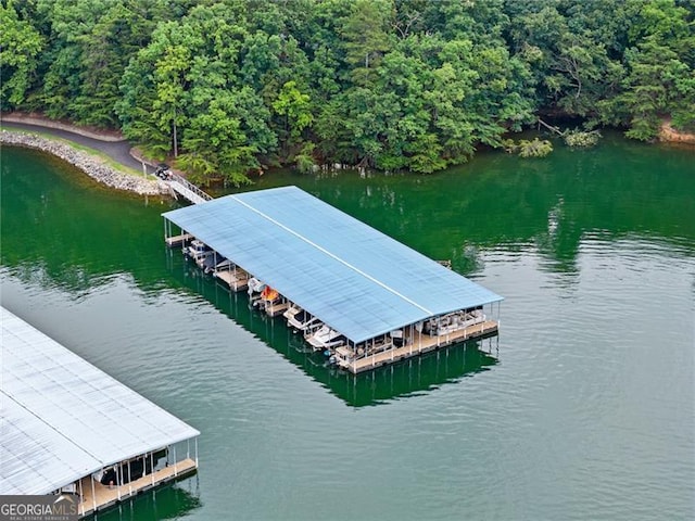 3311 Marina View Way, Gainesville, GA 30506 - dock area with a water view