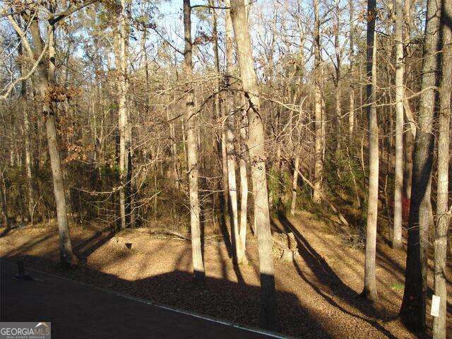 2497 Old Jackson Rd, Locust Grove, GA 30248 - view of woods